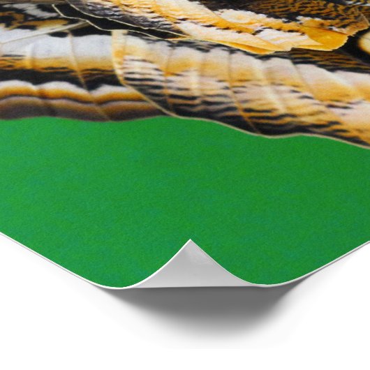 蝶キス ポスター (角)