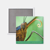 蝶キス マグネット (正面/裏面)