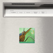 蝶キス マグネット (インサイチュ (食洗機))