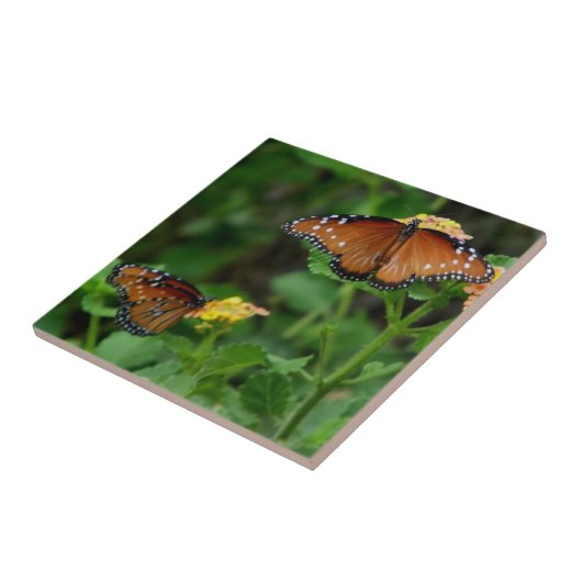 蝶クイーン タイル (側面)