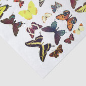 蝶コレクションの種類カラフル 薄葉紙 (詳細)