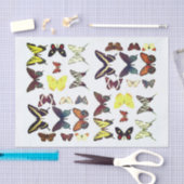 蝶コレクションの種類カラフル 薄葉紙 (クラフト)