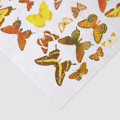 蝶コレクションの種類レッドイエロー 薄葉紙 (詳細)