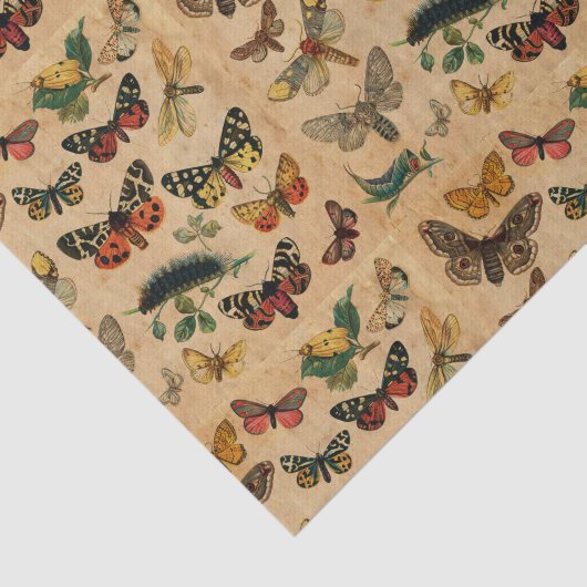 蝶コレクションヴィンテージアンティークデクページ 薄葉紙 (詳細)