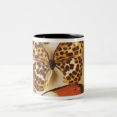 蝶コレクション ツートーンマグカップ (中央)