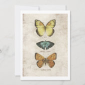 蝶コレクション 招待状 (正面)