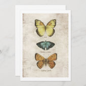 蝶コレクション 招待状 (正面/裏面)