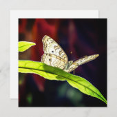 蝶サンキューカード (正面/裏面)