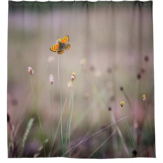 蝶シャワー・カーテン シャワーカーテン (正面)