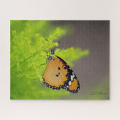 蝶シリーズ-アフリカのマダラチョウ ジグソーパズル (横)