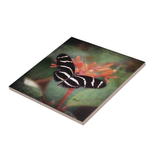 蝶タイル タイル (側面)