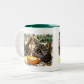 蝶ツートーンコーヒーマグ ツートーンマグカップ (正面左)