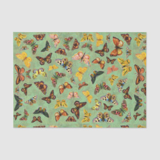 蝶ティッシュペーパー 薄葉紙