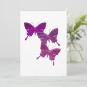 蝶トリオの招待状 招待状 (スタンド正面)