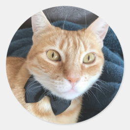 蝶ネクタイ ラウンドシール