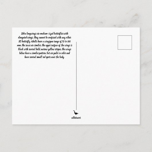 蝶ハガキ ポストカード (裏面)