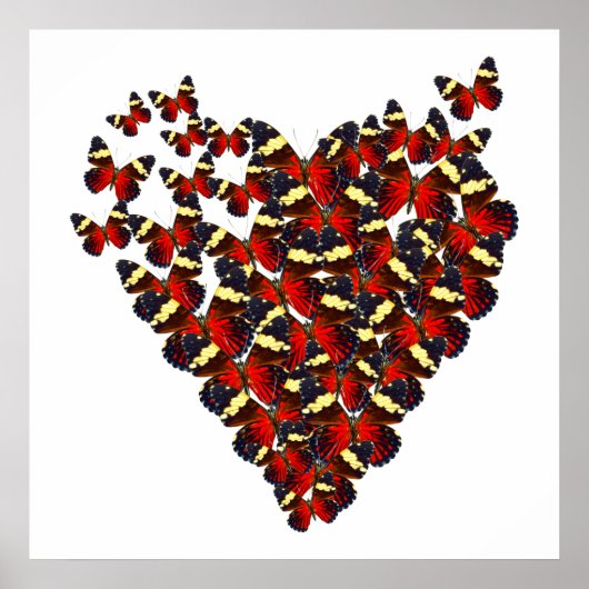 蝶ハート ポスター (正面)