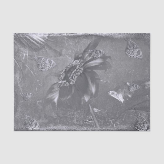 蝶ヒマワリ白黒ヴィンテージ陰性 薄葉紙 (正面)