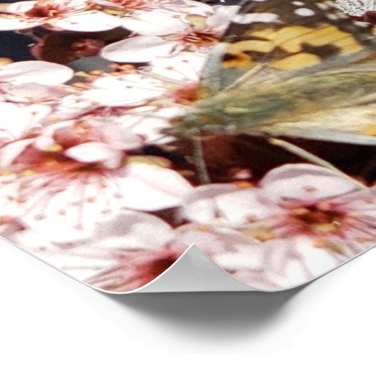 蝶ピンク花写真家族の木のポスター ポスター (角)