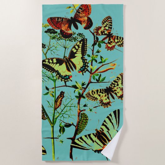 蝶フランスの類 ビーチタオル (正面)