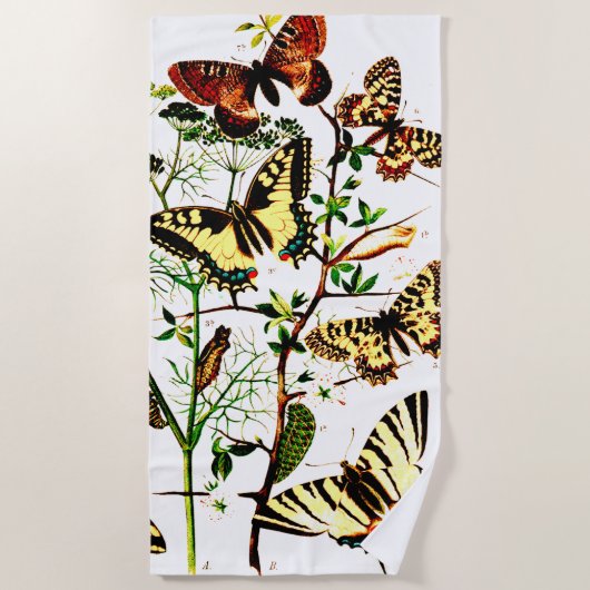 蝶フランスの類 ビーチタオル (正面)