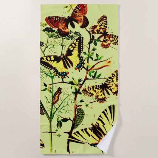 蝶フランスの類 ビーチタオル (正面)