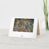 蝶フローラガーデンウィローヴィンテージ図 カード (裏面)