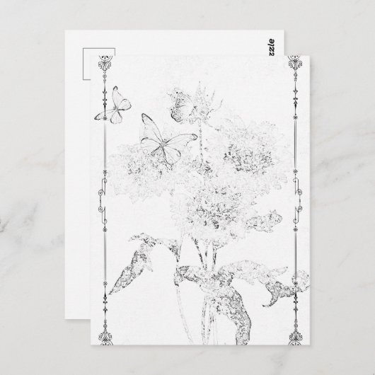 蝶フローラ |絵葉書©はがき ポストカード (正面/裏面)