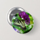 蝶ボタン 缶バッジ (正面&裏面)