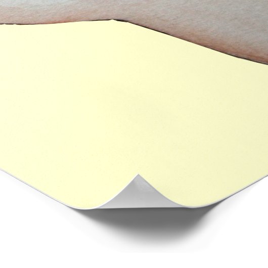 蝶ポスター付き可愛い象 ポスター (角)