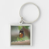 蝶マクロ キーホルダー (正面)