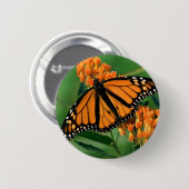 蝶マダラチョウ 缶バッジ (正面&裏面)