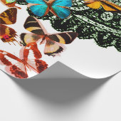 蝶ラッピング紙付き黒レース模様 ラッピングペーパー (角)