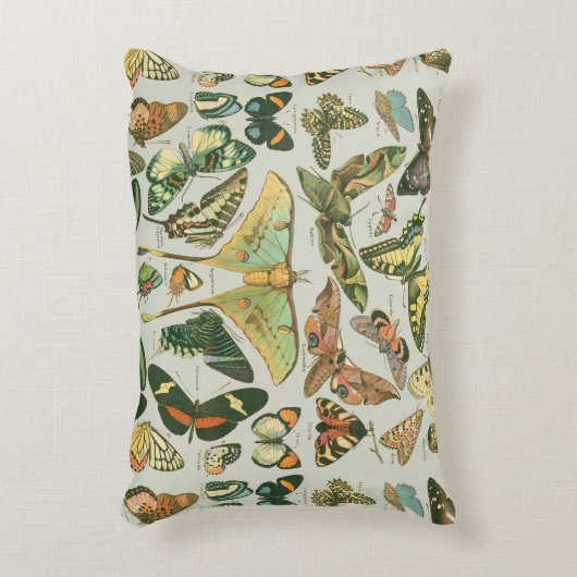 蝶ヴィンテージアンティーク蝶アート アクセントクッション (正面(垂直))