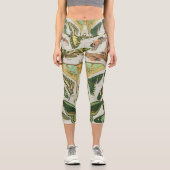 蝶ヴィンテージアンティーク蝶アート カプリレギンス (正面)