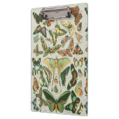 蝶ヴィンテージアンティーク蝶アート クリップボード (左)