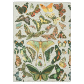 蝶ヴィンテージアンティーク蝶アート クリップボード (裏面)