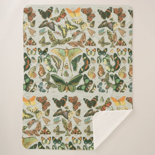 蝶ヴィンテージアンティーク蝶アート シェルパブランケット (正面)