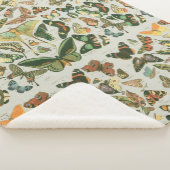 蝶ヴィンテージアンティーク蝶アート シェルパブランケット (3/4)