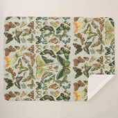 蝶ヴィンテージアンティーク蝶アート シェルパブランケット (正面(横))