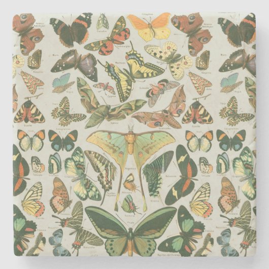蝶ヴィンテージアンティーク蝶アート ストーンコースター (正面)