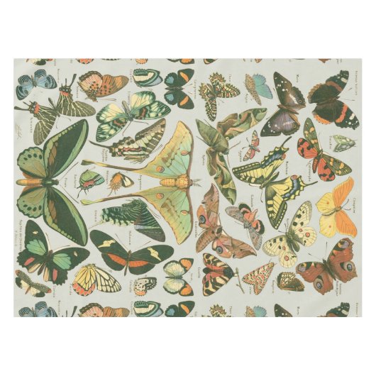 蝶ヴィンテージアンティーク蝶アート テーブルクロス (正面(横))