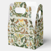 蝶ヴィンテージアンティーク蝶アート フェイバーボックス (オープン)