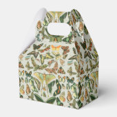 蝶ヴィンテージアンティーク蝶アート フェイバーボックス (正面サイド)