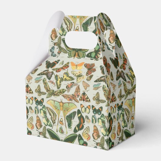 蝶ヴィンテージアンティーク蝶アート フェイバーボックス (正面サイド)