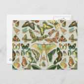 蝶ヴィンテージアンティーク蝶アート ポストカード (正面/裏面)