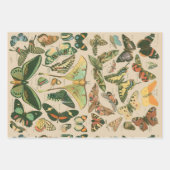 蝶ヴィンテージアンティーク蝶アート ラッピングペーパーシート (正面2)