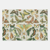蝶ヴィンテージアンティーク蝶アート ラッピングペーパーシート (正面)
