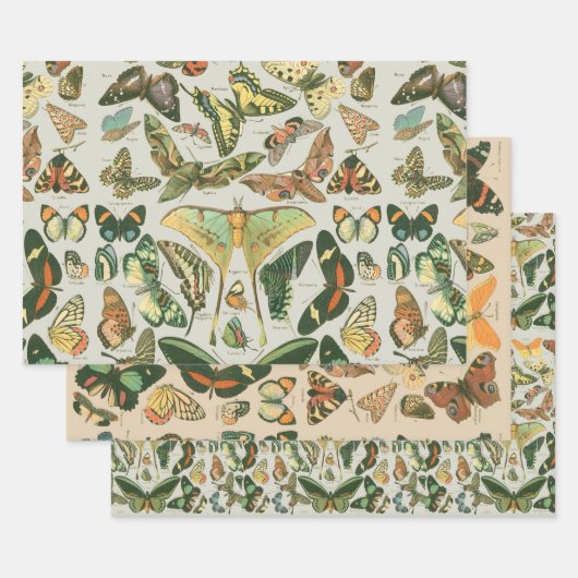 蝶ヴィンテージアンティーク蝶アート ラッピングペーパーシート (セット)