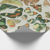 蝶ヴィンテージアンティーク蝶アート ラッピングペーパー (角)